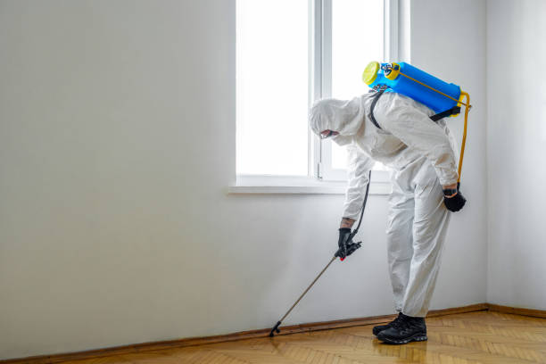 Best Fumigation Services  in Lexington, MI